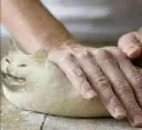 breadcatto