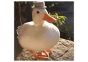 Dripduck