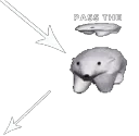 pass the bearrito