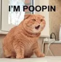 I'M POOPIN!