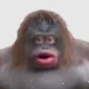monke