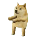 doge