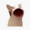 popcat
