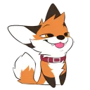 Collarfox