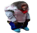 Monke Zoomer