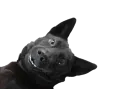 Buno Smile Peek