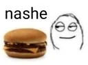 nashe
