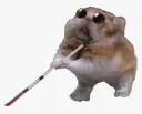eeeee
