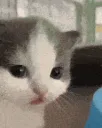Uh