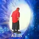 adios amigo