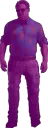 purpleHoff