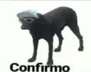 confirmo