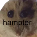 hampter