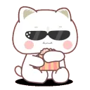 swag