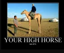 highhorse