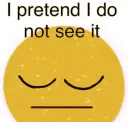 i pretend i do not see it