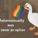 heterosexuality never option