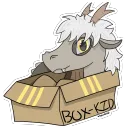 Box-Kozy