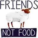 Sheep are friends! No food!