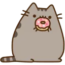 DonutCat