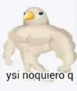 noquiero