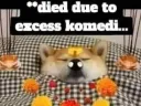 Died due to excess komedi