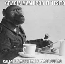 tesito