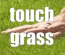 Touch grass
