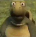 turtleOh