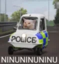 Catto Police