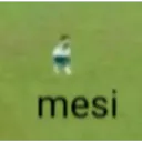 mesi