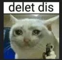 delet dis