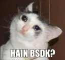 hain bsdk?