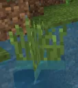 Grass x water