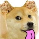 Silly doge