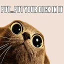 Putyourdickinit