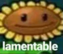 lamentable