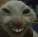 THE FUNNY