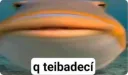 que te iva a decir