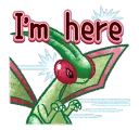 Flygon : I'm Here