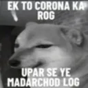 madarchodlog
