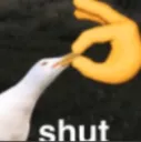 shut it