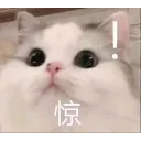 惊呆！