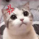 生气