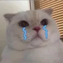 哭泣