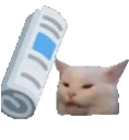 敲猫猫头