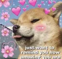 Wholesome: Blushed Doggie