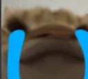 SELO CRI