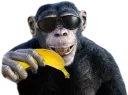 Monke Banan
