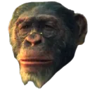 Monke Disappointed